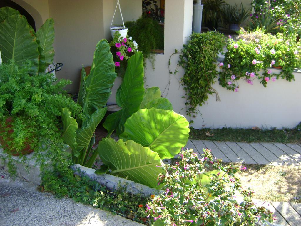 Apartments Radulovic Biograd Na Moru Esterno foto
